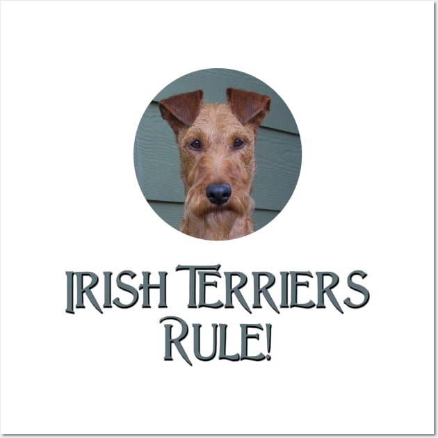 Irish Terriers Rule! Wall Art by Naves